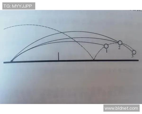 科学乒乓球训练：掌握节奏提升技巧的有效方法与实践指南