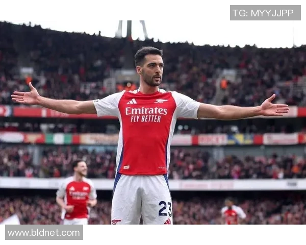 世界杯焦点战切尔西与阿森纳握手言和红牌争议引发全场热议