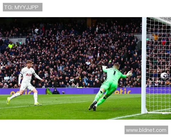 欧冠激战：多特蒙德绝杀热刺全场沸腾战术解析与精彩瞬间回顾